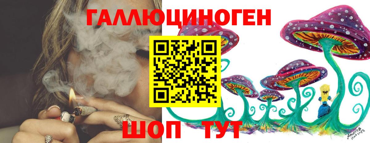 Псилоцибиновые грибы MAGIC MUSHROOMS  Вход с VPN  Галлюциногенные грибы Psilocybine cubensis  Губкинский 
